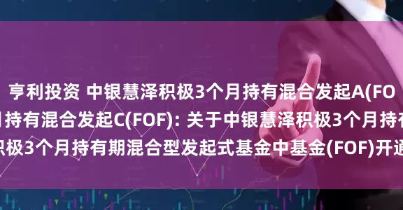 亨利投资 中银慧泽积极3个月持有混合发起A(FOF),中银慧泽积极3个月持有混合发起C(FOF): 关于中银慧泽积极3个月持有期混合型发起式基金中基金(FOF)开通转换业务的公告