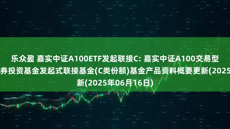 乐众盈 嘉实中证A100ETF发起联接C: 嘉实中证A100交易型开放式指数证券投资基金发起式联接基金(C类份额)基金产品资料概要更新(2025年06月16日)