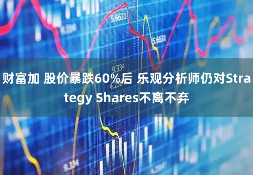 财富加 股价暴跌60%后 乐观分析师仍对Strategy Shares不离不弃
